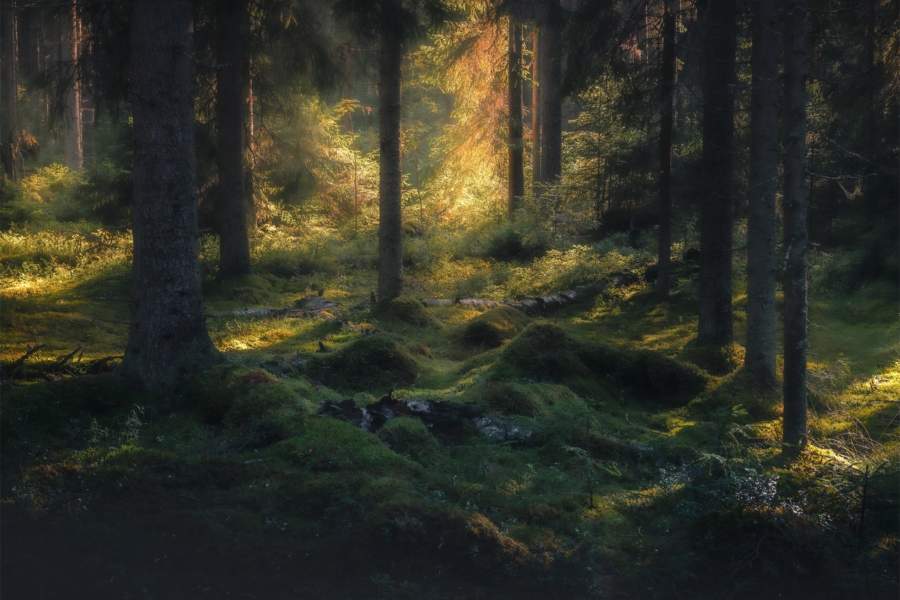 Победители фотоконкурса «Самая красивая страна» от РГО