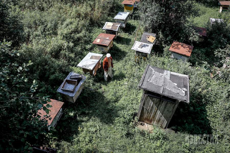 Владимир Иванович Исаев — последний постоянный житель деревни Никитино под Кимрами в Тверской области. Вот уже более 40 лет это место является его постоянным домом, в котором он в одиночку занимается разведением пчел и поддержанием жизни всего селения.