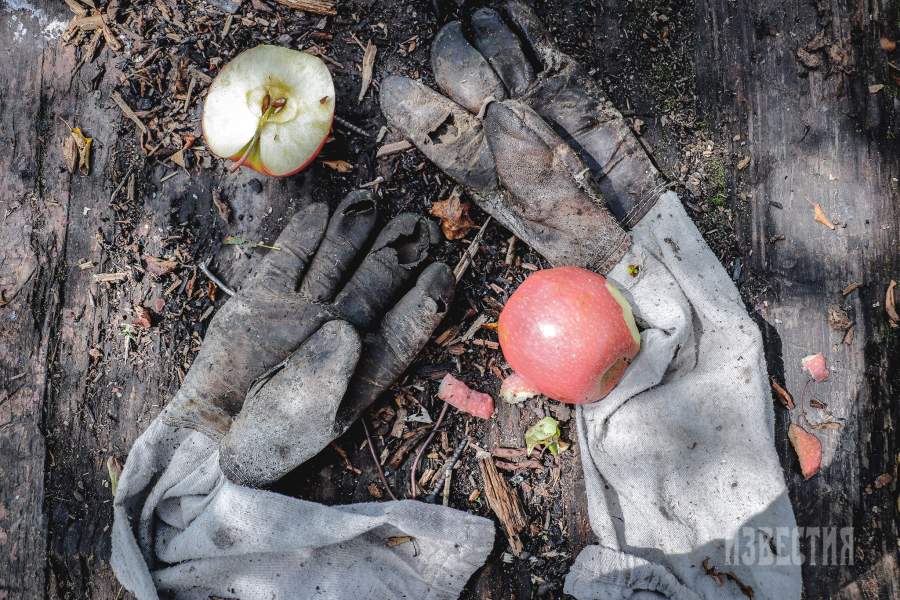 Владимир Иванович на своём земельном наделе выступает сразу в нескольких ролях: агронома, следящего за плодоносностью деревьев и урожаем овощей, конструктора, самостоятельно занимающегося ремонтом и постройкой необходимых сооружений. Однако главным делом остается пчеловодство, с которым он познакомился ещё в детские годы. 