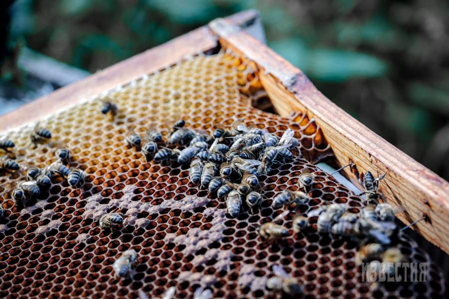 Владимир Иванович Исаев — последний постоянный житель деревни Никитино под Кимрами в Тверской области