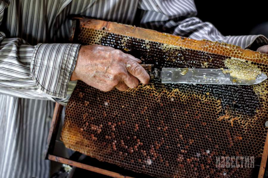 Владимир Иванович Исаев — последний постоянный житель деревни Никитино под Кимрами в Тверской области