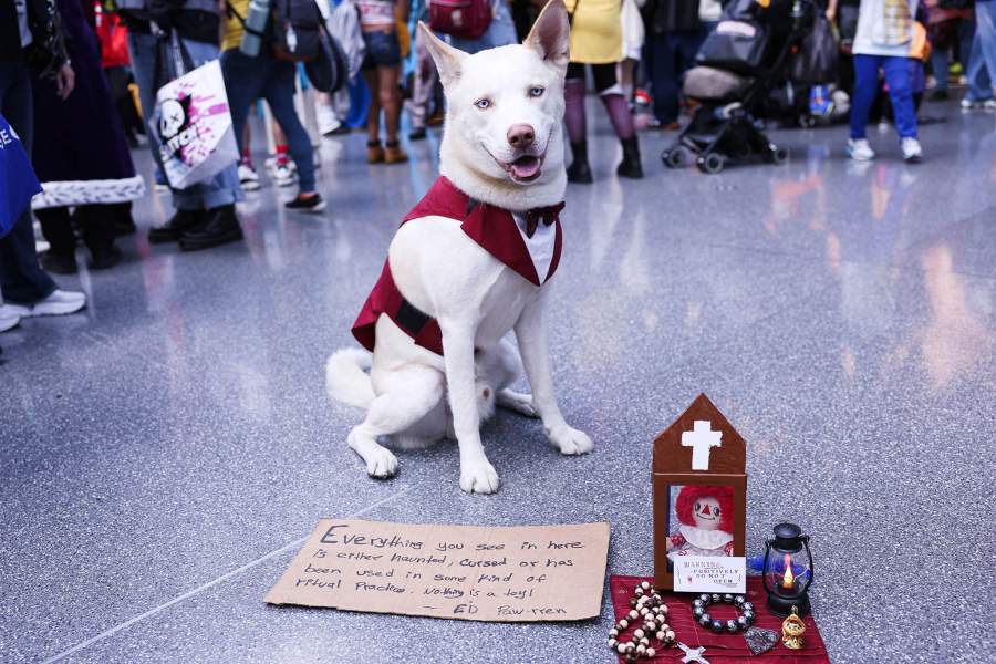 NEW YORK, NEW YORK - OCTOBER 10: A dog cosplayer attends New York Comic Con 2025 at The Jacob K. Javits Convention Center on October 10, 2025 in New York City. (Photo by Manoli Figetakis/Getty Images)
