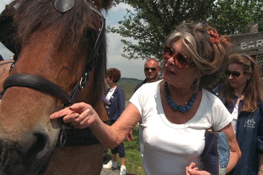 French former actress, singer and fashion model, now an animal rights activist Brigitte Bardot