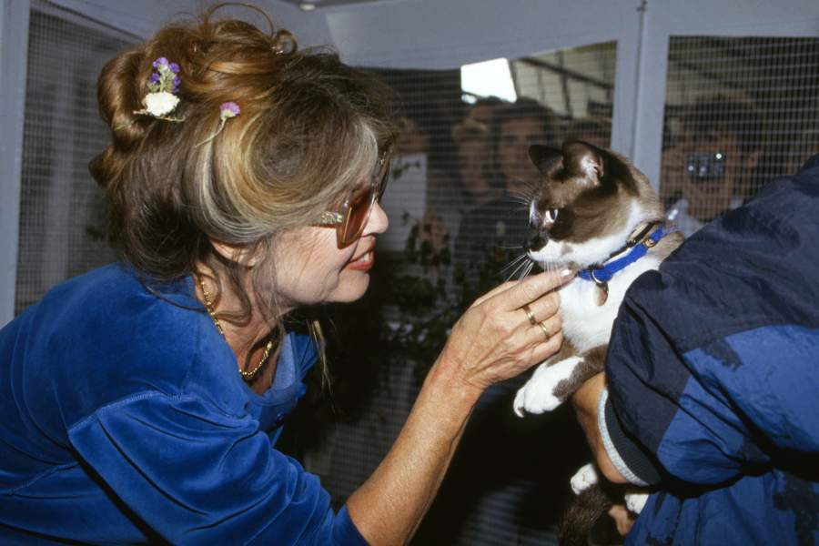 French former actress, singer and fashion model, now an animal rights activist Brigitte Bardot