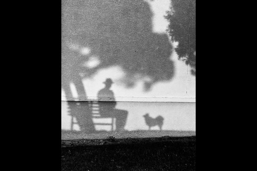 Dog Photography Awards 2025