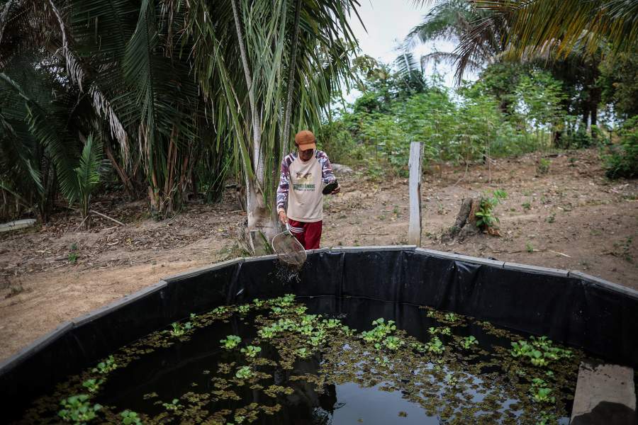 Открытие речного пути Арагуая-Токантинс