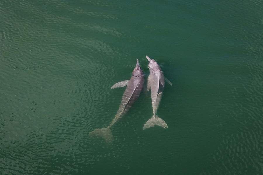 Открытие речного пути Арагуая-Токантинс