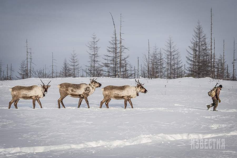 На Сахалине живут несколько коренных малочисленных народов: нивхи, нанайцы, эвенки и уйльта. Нивхи — сейчас самый крупный из сахалин­ских коренных народов. Они считаются оседлым народом, а уйльта — кочевым, занимающимся охотой и разведением оленей и пушных зверей