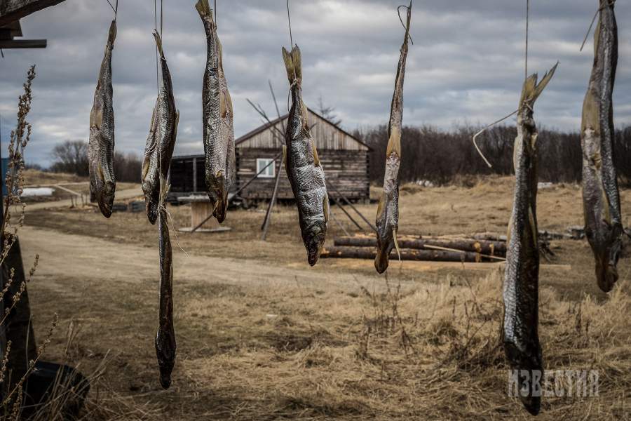 Основным родом занятий и по сей день является рыболовство, таежная охота, а также сбор ягод, грибов и т. п. 