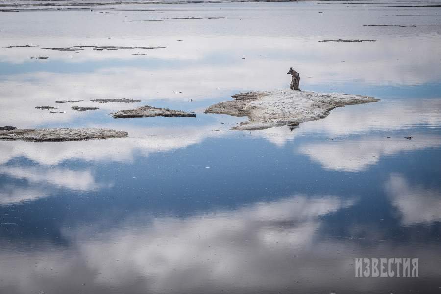  По представлениям нивхов, Вселенная включает верхний, нижний, горный и водный миры, которые населяют духи природных сил и души умерших предков, а также средний мир, в котором живут обычные люди и люди-невидимки генивхгу. Увидеть генивхгу могут только шаманы, а простые люди только слышат самих генивхгу и лай их собак