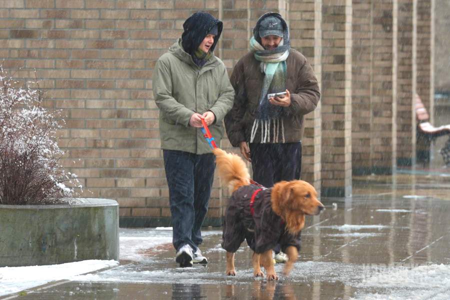 первый снег