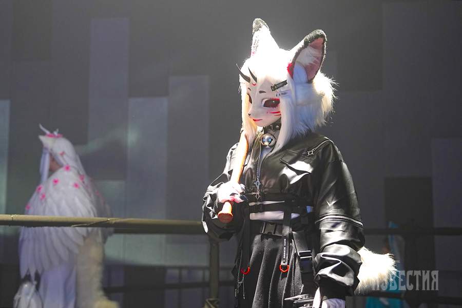 фандом фест