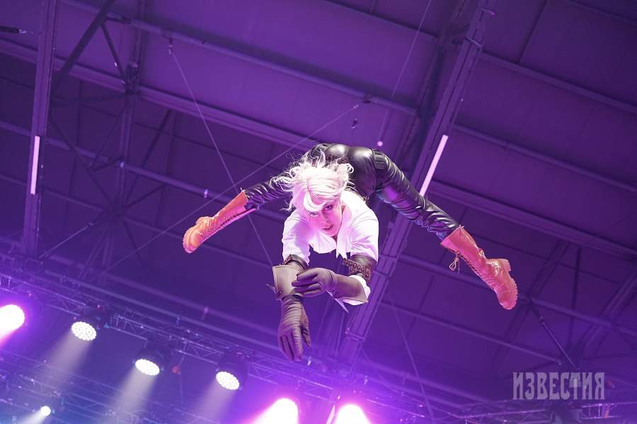 фандом фест