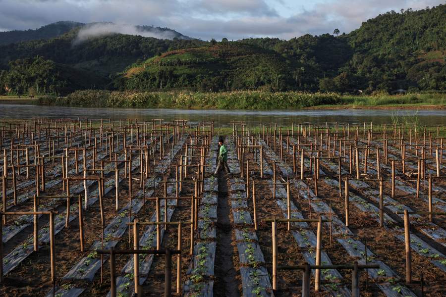 Золотоносный рудник подвергает риску реки и людей Юго-Восточной Азии