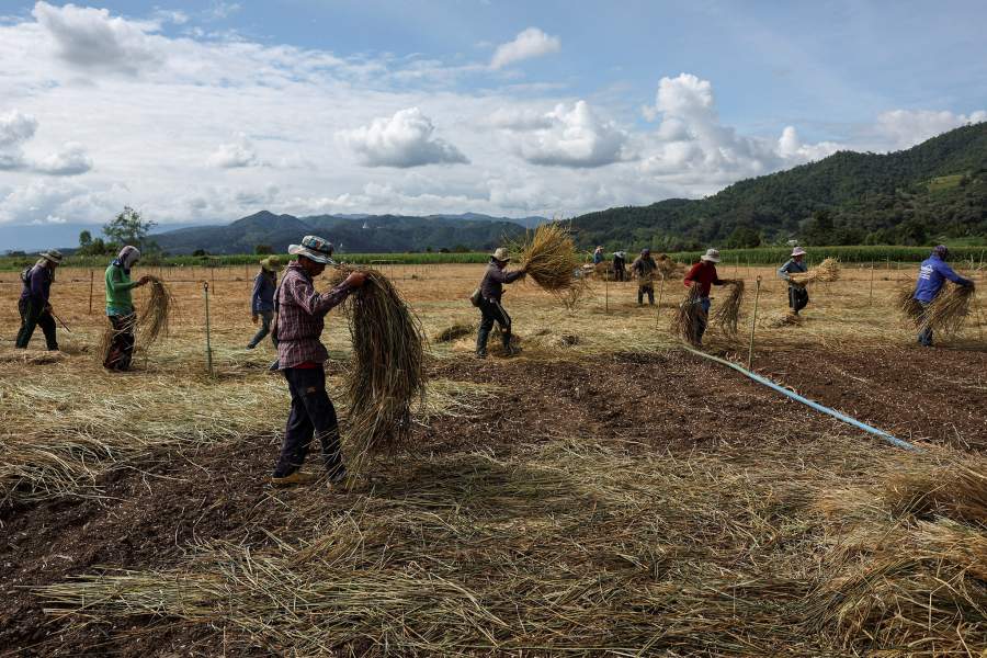Золотоносный рудник подвергает риску реки и людей Юго-Восточной Азии