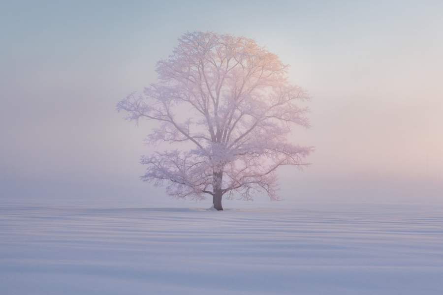 Kung-Fu Li (Тайвань) «Шёпот света». Место съёмки: Хоккайдо, Япония. Победитель в номинации «Снег и лёд»