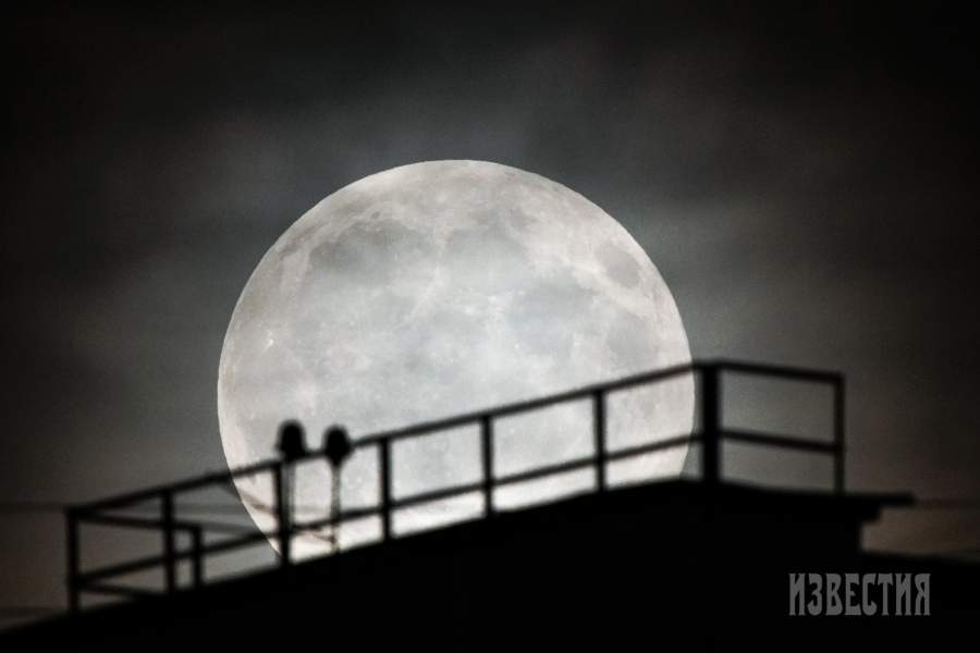 Москва. «Бобровая Луна» над городом