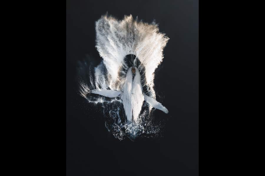 Jarrod Saw (Австралия), «Прорыв» Победители World Photo Annual 2025