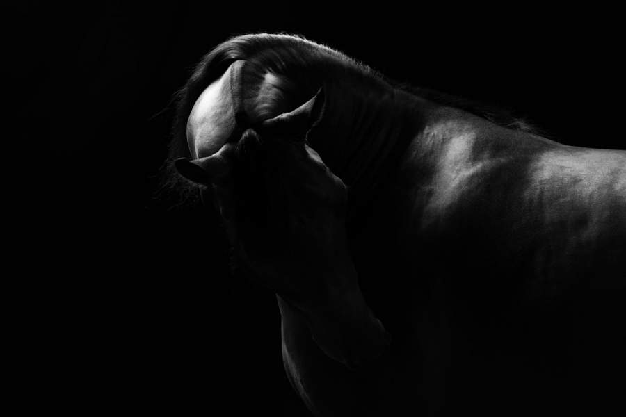 Bill Pack (США), «Дыхание между». Бронза в категории «Абстракция» на World Photo Annual 2025