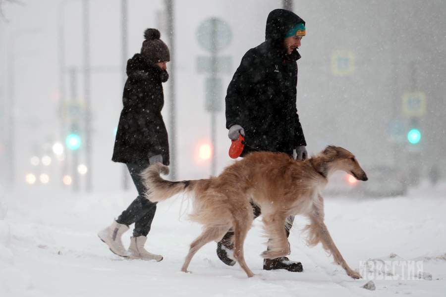 Россия. Москва. Горожане во время снегопада на одной из улиц города