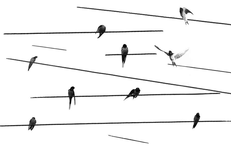 Как человек, много лет увлеченный музыкой Шопена, я искал визуальные средства для выражения своей интерпретации произведений композитора. 