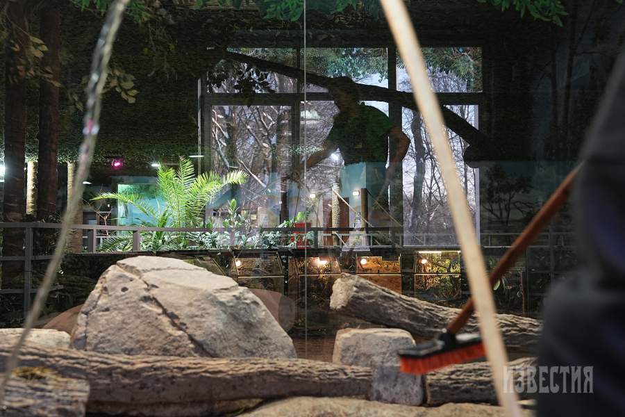 1. а) Зоотехник Александр Чапаев (орнитолог, но имеет большой опыт работы и с крупными рептилиями) кормит птиц. б) Зоотехник Виктория Чибисова проводит уборку у капибары.   Чибисова Виктория — зоотехник тульского Экзотариума, работает в учреждении ещё до момента открытия новой экспозиции в 2019 году.