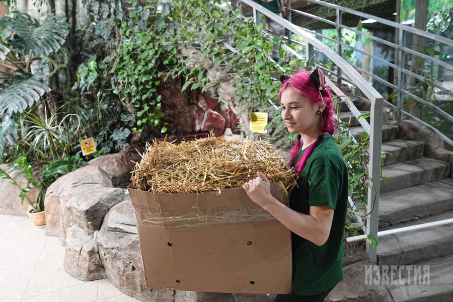 20. а) Кипер Карина Алисина у игрунок (старая экспозиция); б) Кипер Полина Редькина