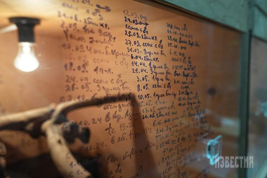 22. Записи о кормлениях, линьках, и других событиях в жизни змеи на стекле террариума в лаборатории