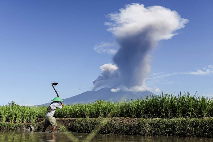 A farmer works in a paddy field as Mount Marapi volcano spews volcanic ash, as seen from Batusangkar in Tanah Datar, West Sumatra province, Indonesia, May 30