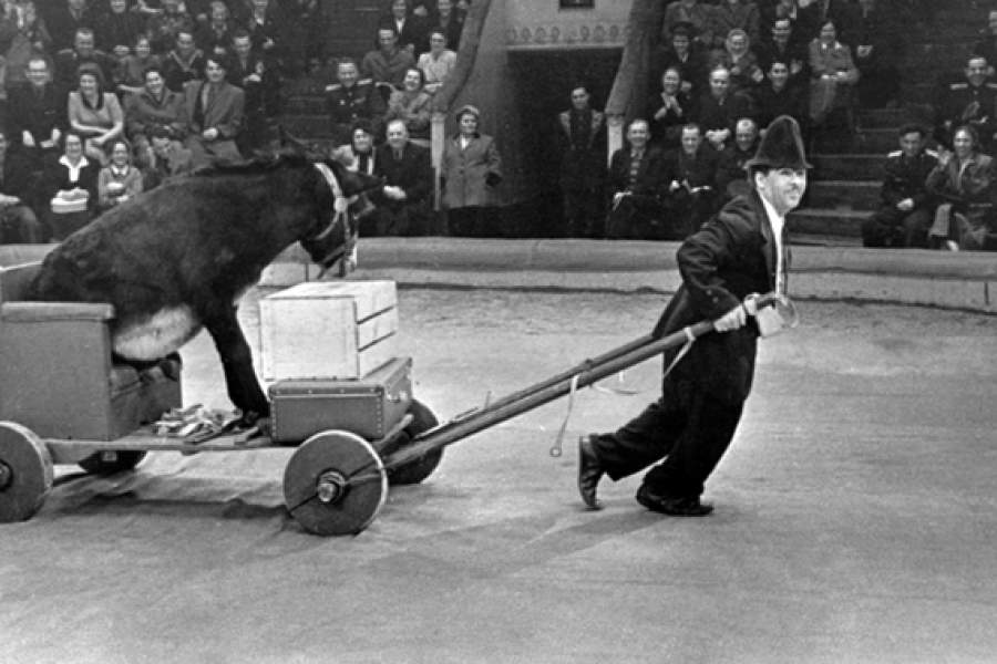 Заслуженный артист РСФСР Михаил Николаевич Румянцев показывает номер с ослом на арене Московского цирка