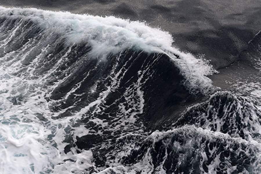 Вода Карского моря. 
