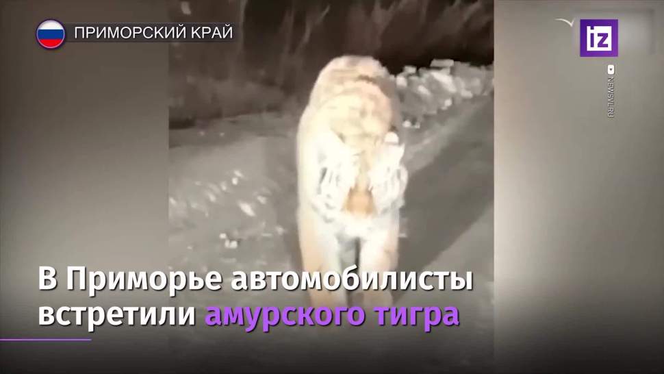 Вышел На Дорогу Новый Год Вышел На Дорогу Новый Год