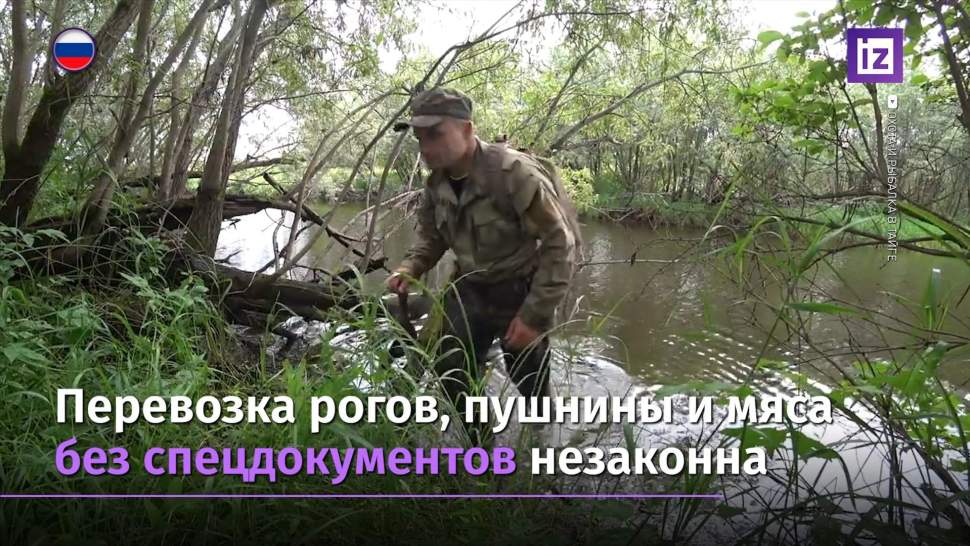 Новый Закон Об Охоте В 2022 Году Новый Закон Об Охоте В 2022 Году